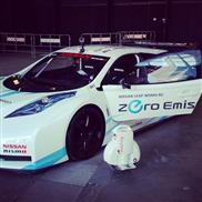 zero emissioni nissan