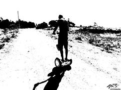 eléctrico monociclo S3